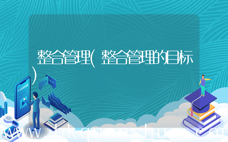 整合管理(整合管理的目标)