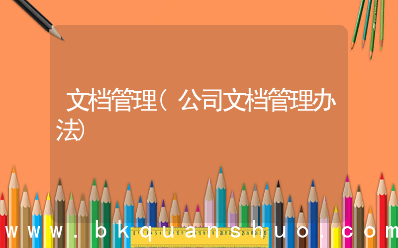 文档管理(公司文档管理办法)