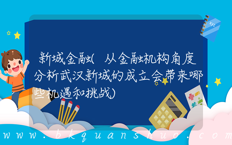 新城金融(从金融机构角度分析武汉新城的成立会带来哪些机遇和挑战)