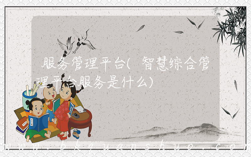 服务管理平台(智慧综合管理平台服务是什么)
