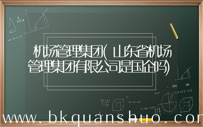 机场管理集团(山东省机场管理集团有限公司是国企吗)