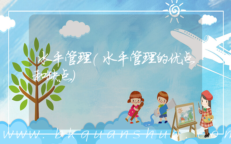 水平管理(水平管理的优点和缺点)