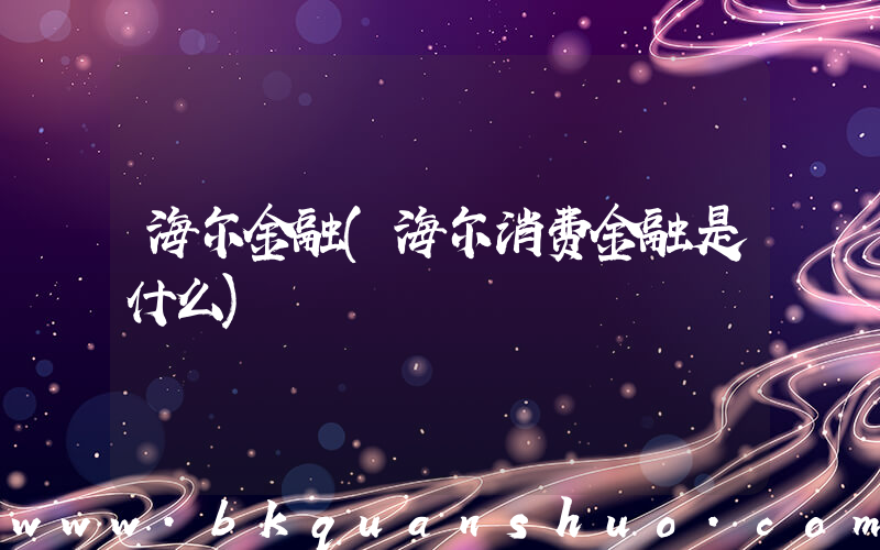 海尔金融(海尔消费金融是什么)