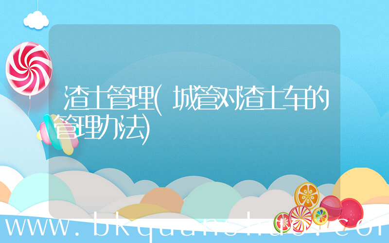 渣土管理(城管对渣土车的管理办法)