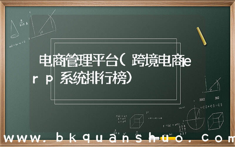 电商管理平台(跨境电商erp系统排行榜)