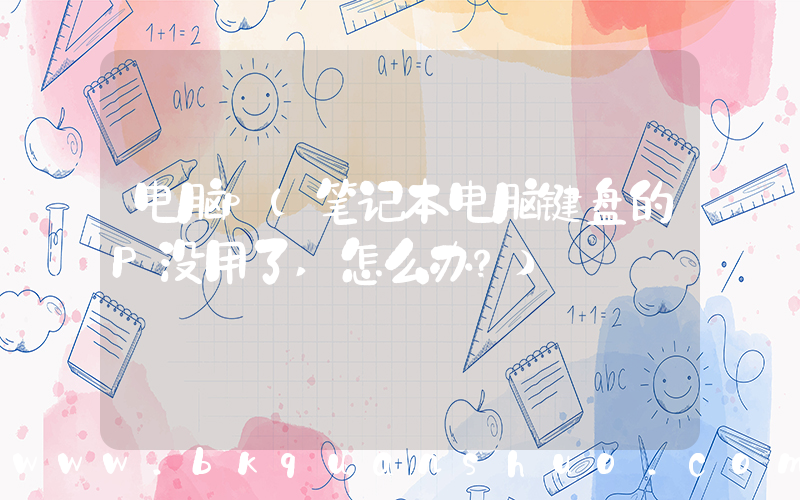 电脑p(笔记本电脑键盘的P没用了,怎么办？)