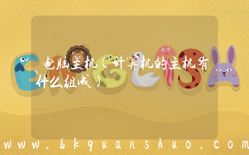 电脑主机(计算机的主机有什么组成)