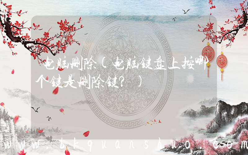 电脑删除(电脑键盘上按哪个键是删除键？)