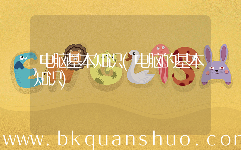 电脑基本知识(电脑的基本知识)