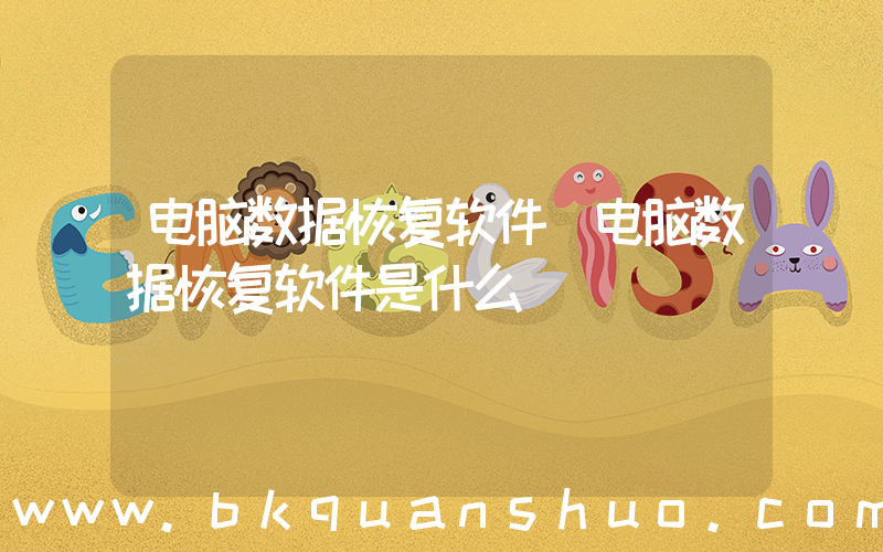 电脑数据恢复软件(电脑数据恢复软件是什么)