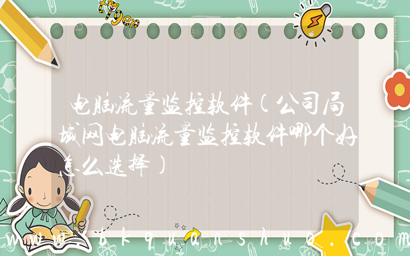 电脑流量监控软件(公司局域网电脑流量监控软件哪个好怎么选择)