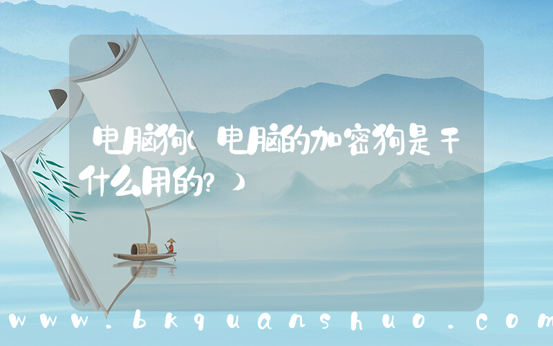 电脑狗(电脑的加密狗是干什么用的？)