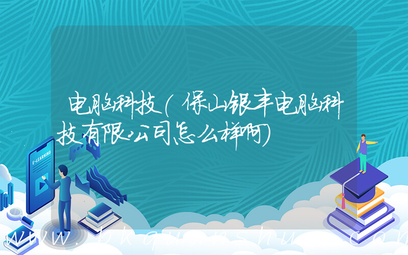 电脑科技(保山银丰电脑科技有限公司怎么样啊)