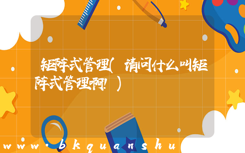矩阵式管理(请问什么叫矩阵式管理啊！)