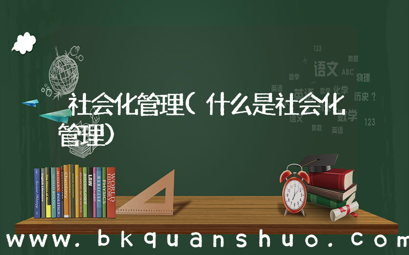 社会化管理(什么是社会化管理)