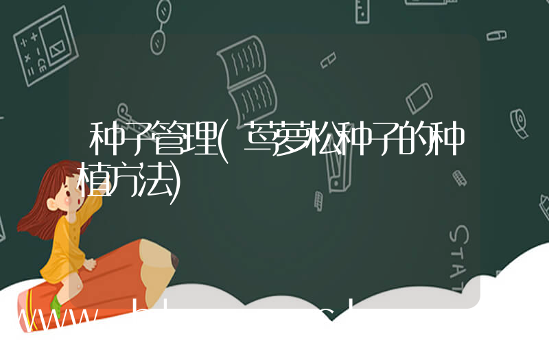 种子管理(茑萝松种子的种植方法)