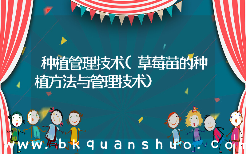 种植管理技术(草莓苗的种植方法与管理技术)