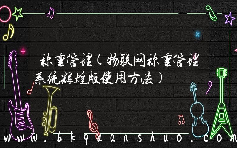 称重管理(物联网称重管理系统辉煌版使用方法)