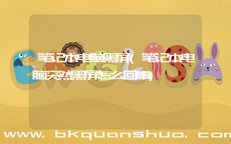 笔记本电脑黑屏(笔记本电脑突然黑屏怎么回事)