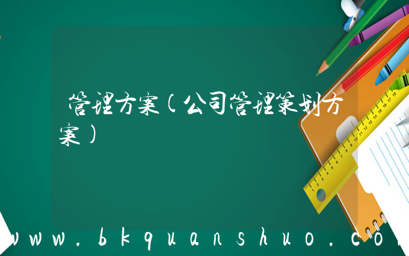 管理方案(公司管理策划方案)