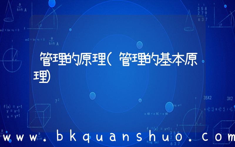 管理的原理(管理的基本原理)