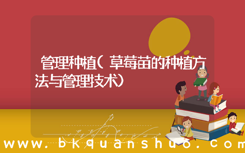 管理种植(草莓苗的种植方法与管理技术)