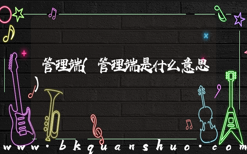 管理端(管理端是什么意思)