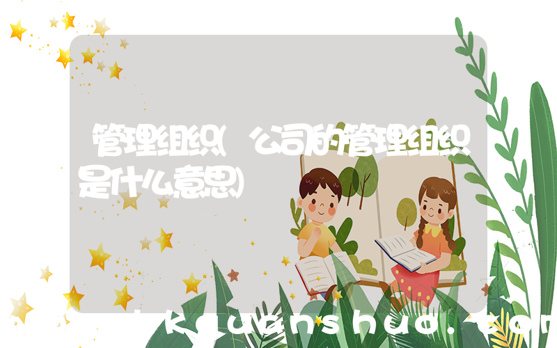 管理组织(公司的管理组织是什么意思)