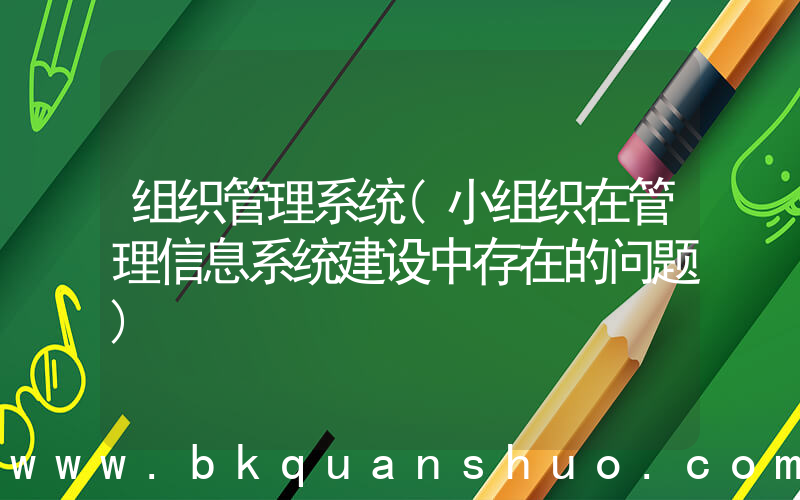 组织管理系统(小组织在管理信息系统建设中存在的问题)