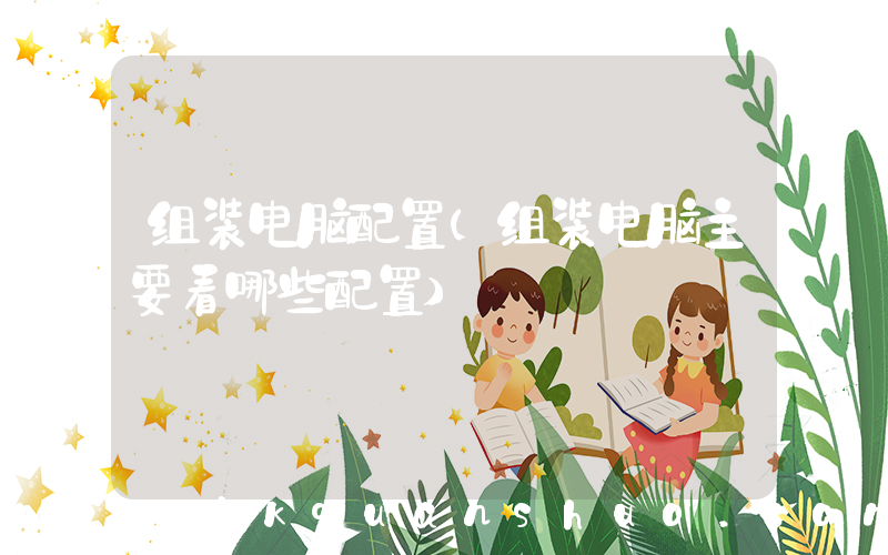 组装电脑配置(组装电脑主要看哪些配置)