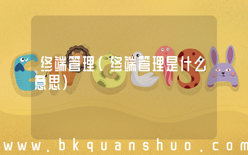 终端管理(终端管理是什么意思)