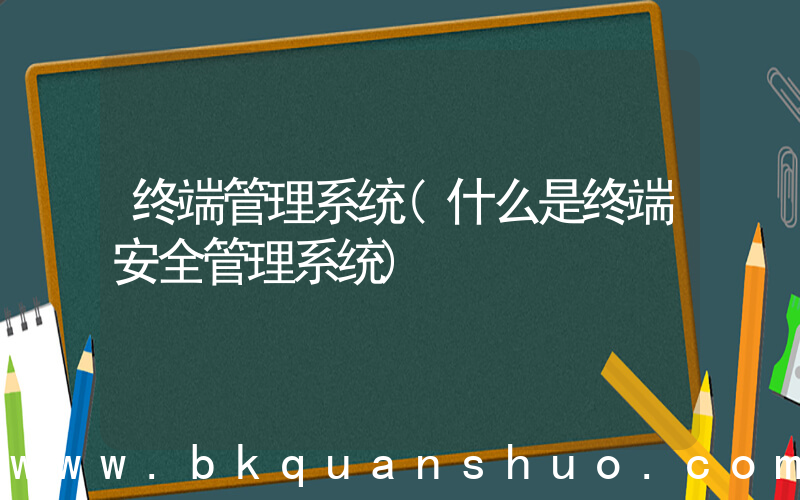 终端管理系统(什么是终端安全管理系统)