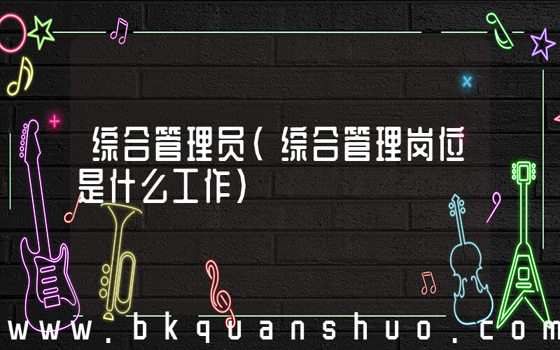 综合管理员(综合管理岗位是什么工作)