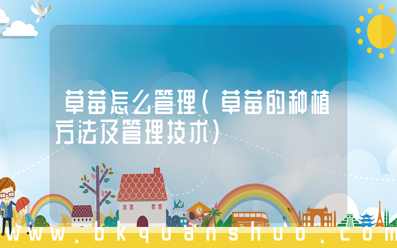 草莓怎么管理(草莓的种植方法及管理技术)