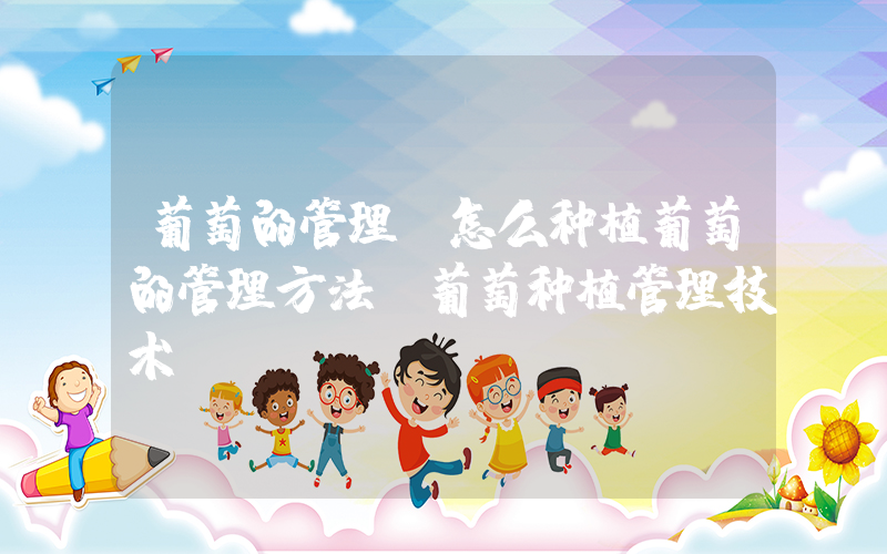 葡萄的管理(怎么种植葡萄的管理方法_葡萄种植管理技术)
