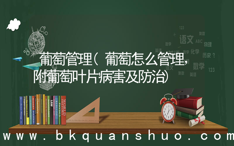 葡萄管理(葡萄怎么管理，附葡萄叶片病害及防治)