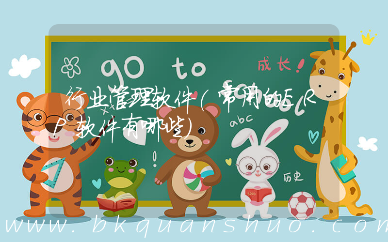 行业管理软件(常用的ERP软件有哪些)