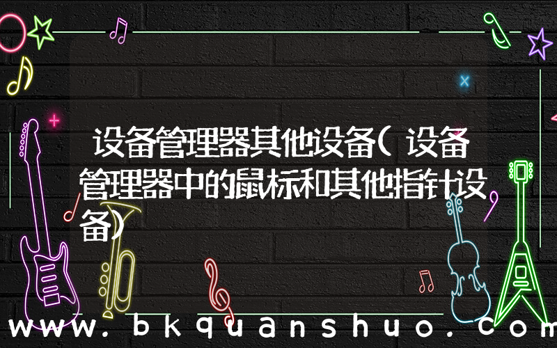 设备管理器其他设备(设备管理器中的鼠标和其他指针设备)