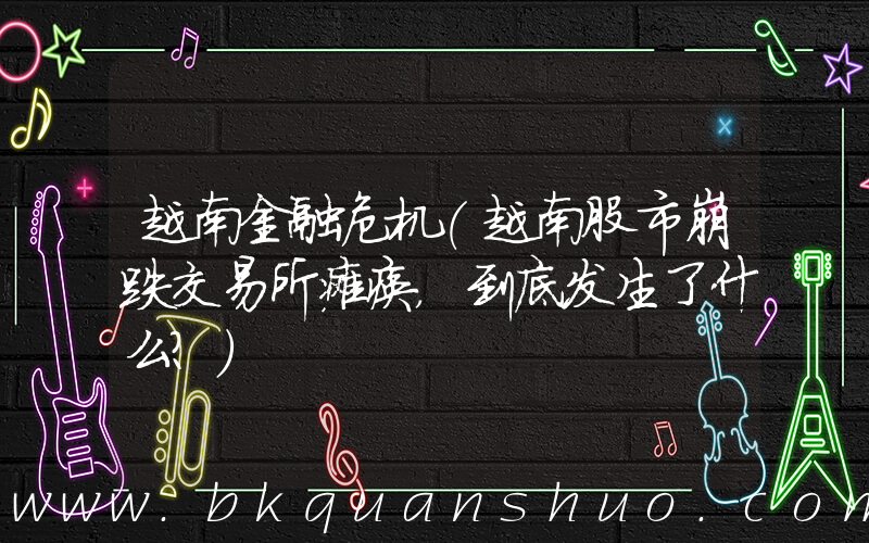 越南金融危机(越南股市崩跌交易所瘫痪，到底发生了什么？)