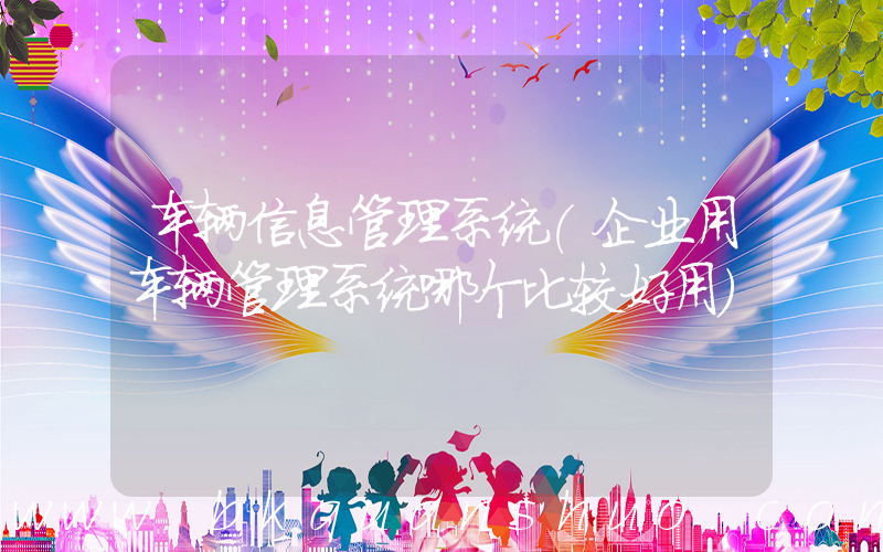 车辆信息管理系统(企业用车辆管理系统哪个比较好用)