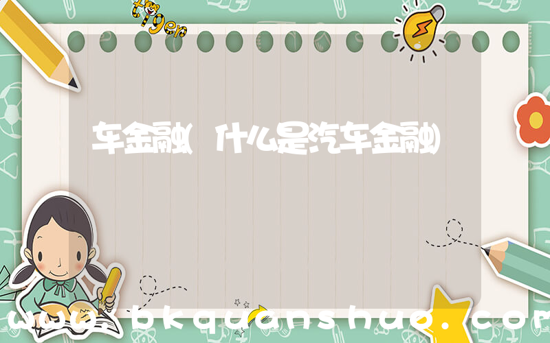 车金融(什么是汽车金融)