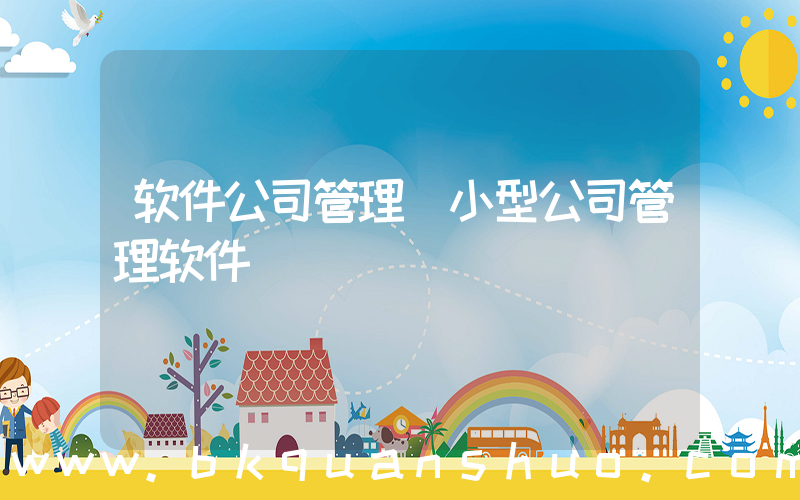 软件公司管理(小型公司管理软件)