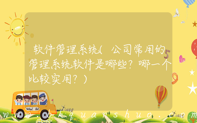 软件管理系统(公司常用的管理系统软件是哪些？哪一个比较实用？)