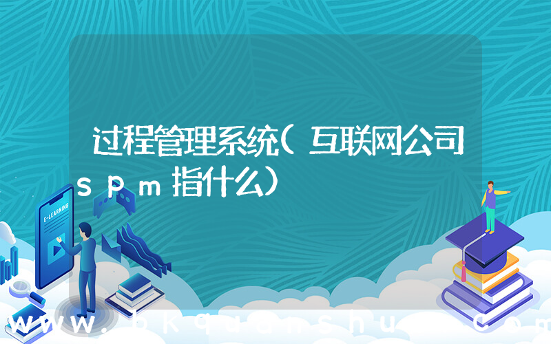 过程管理系统(互联网公司spm指什么)