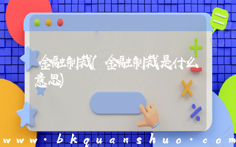 金融制裁(金融制裁是什么意思)