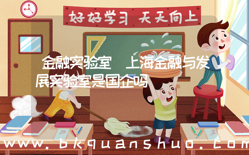金融实验室(上海金融与发展实验室是国企吗)