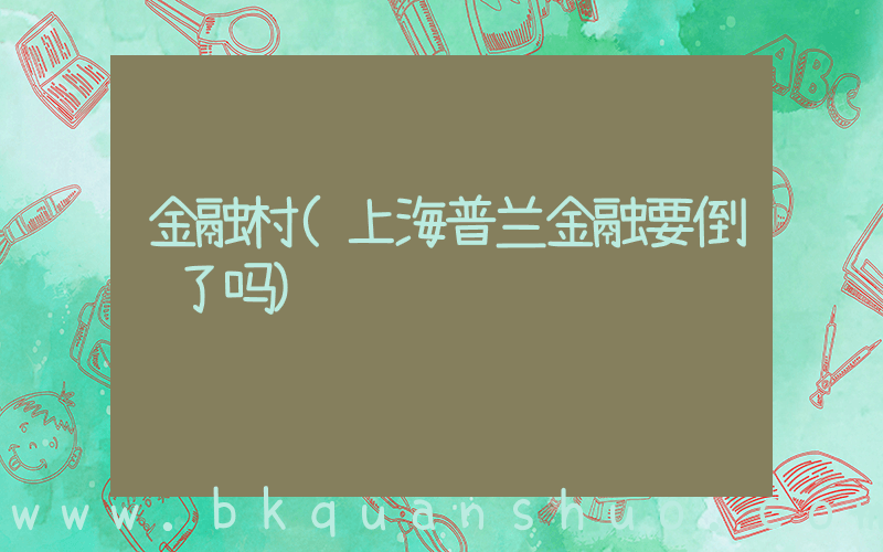 金融村(上海普兰金融要倒闭了吗)