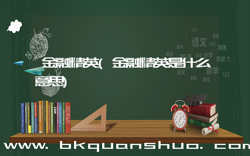 金融精英(金融精英是什么意思)