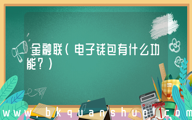 金融联(电子钱包有什么功能？)