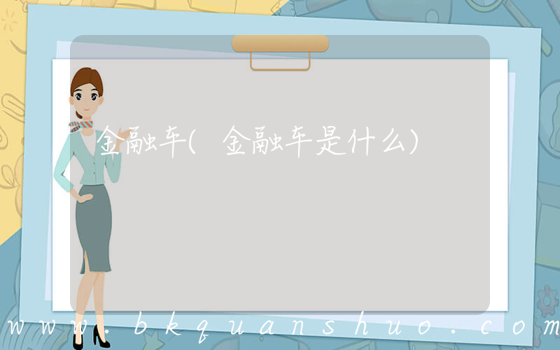 金融车(金融车是什么)